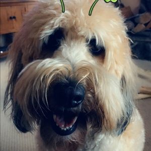 Meet your Posher, Julie